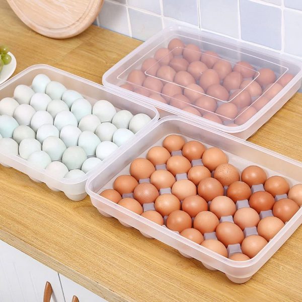 34-Eggs-Tray-Holder-with-Lid6-600x600-1.jpg